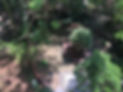 IMG-8050.jpg